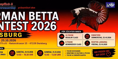 German Betta Contest 2026 Duisburg 