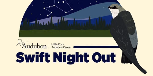 A Swift Night Out