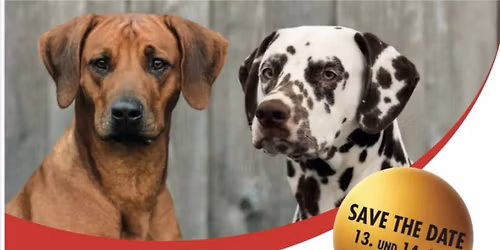 Clubsiegerschauen \u00d6sterreichischer Dalmatinerclub 