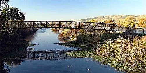 Coyote Creek Cleanup | Cleanup.SJ