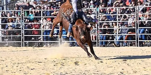 Hunter Valley Rodeo