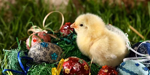 P\u00e5ske Fredagsbar