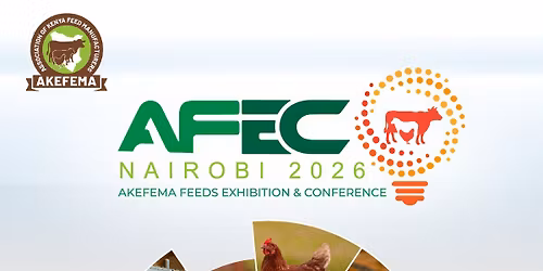 AFEC 2026