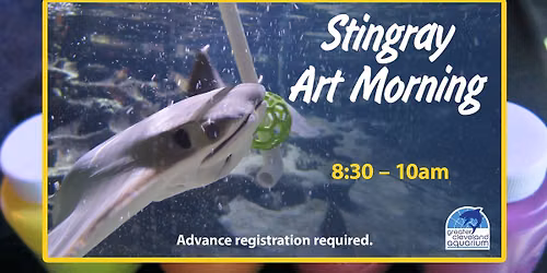 Stingray Art