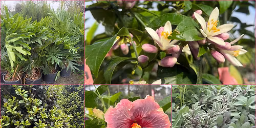 Good Earth Spring Fest