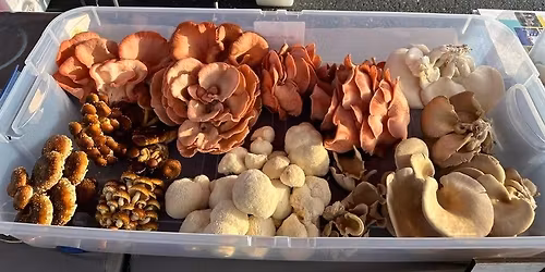 The Truck Patch Natural Market (Drop-Off)