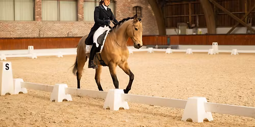 Neckrope dressage competition