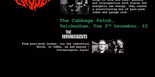 The Fades & The Intransigents Live