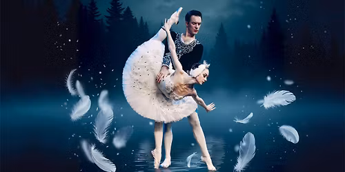 Schwanensee mit Orchester - der romantische Ballettklassiker