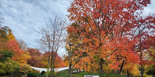 Christmas Carols at MI Element 