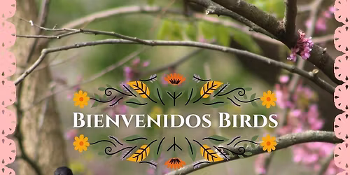Bienvenidos Birds!