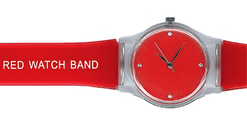 Red Watch Band Training: Fall 2026
