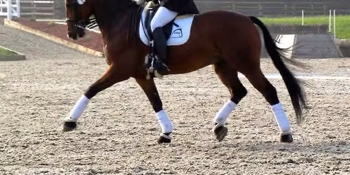 Flatwork Clinic with George Martin