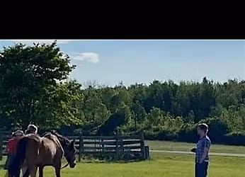 Grief-Tending and the Spirit of Horses: In-Person Healing Workshop