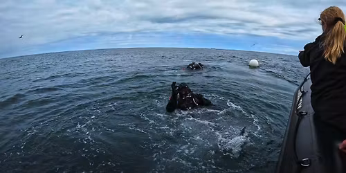 Akranes Trawler WW2 Wreck
