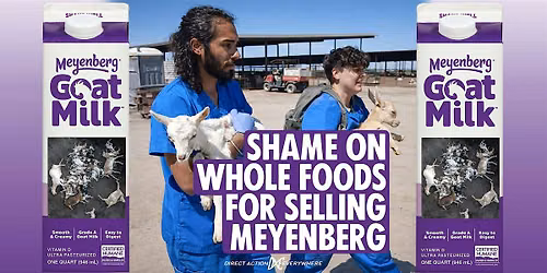 Protest of Meyenberg Goats' Milk at Whole Foods Berkeley on Telegraph