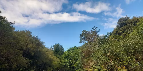 Korokoro to Percy's track working bee