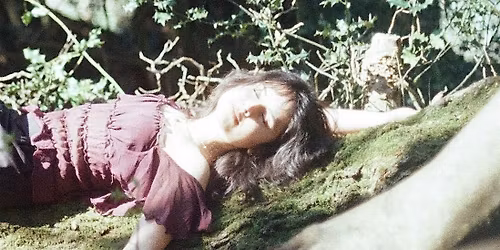 Art of The Womb - Full Day Nature & Art Immersion