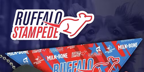 Ruffalo Stampede 