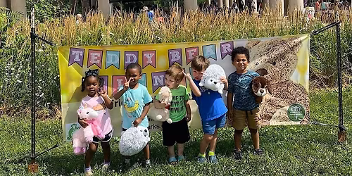 The Teddy Bear Picnic