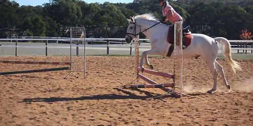 Alan Mitchell Show Jumping Clinic