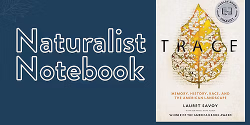 Naturalist Notebook: Trace: Memory, History, Race, and the American Landscape