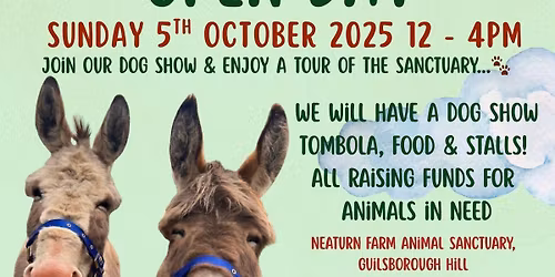 Northampton Vegan Christmas Festival