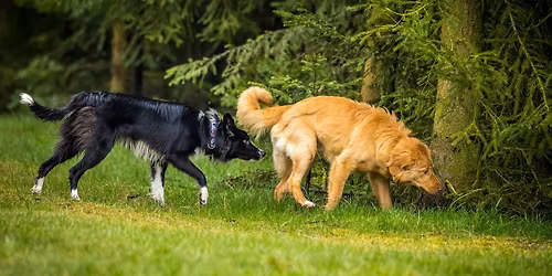 Akcja komunikacja vol. 21