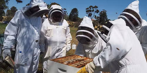 Introduction to Responsible Beekeeping