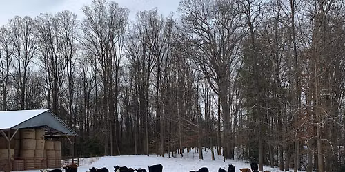 Camping at Parker\u2019s Farm!