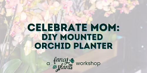 Celebrate Mom: DIY Mounted Orchid Planter