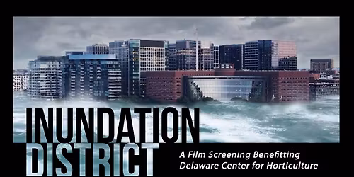 Films Worth Talking About: Inundation District
