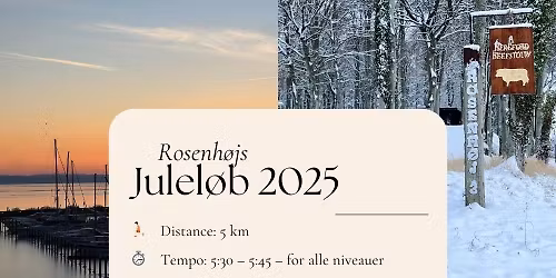 Rosenh\u00f8js Julel\u00f8b 2025