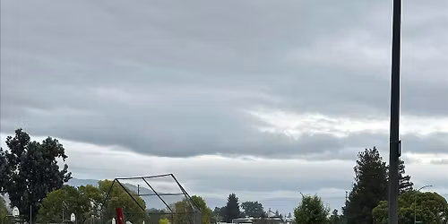 Bridges Academy Community Planting with Our City Forest