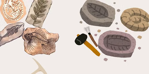 Fossil Dig Kits - REGISTRATION REQUIRED