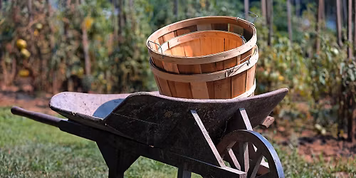 It Takes a Village: Volunteer Work Day