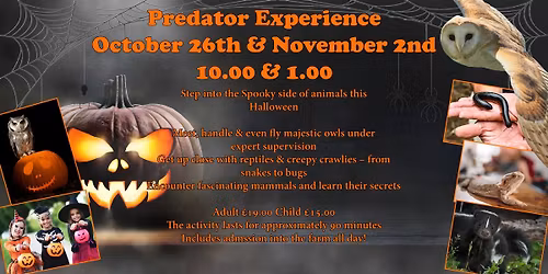 Halloween Predator Experience