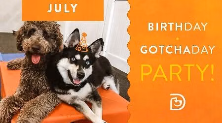 \ud83c\udf89\ud83d\udc3e July Birthday & Gotcha Day Party! \ud83c\udf82\ud83c\udf88