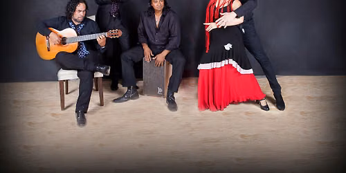 Fall Launch - Intermediate Flamenco 201