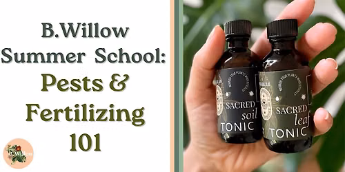 B.Willow Summer School: Pests & Fertillizing 101