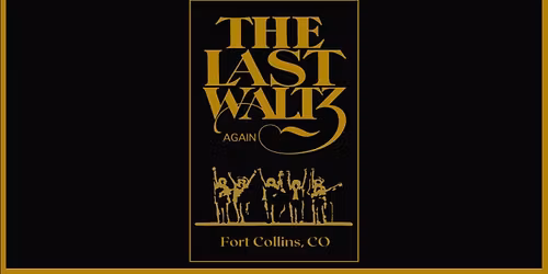 Ethan & Chris @ The Last Waltz Again