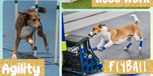 Dog Sports Discovery Day!