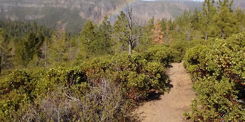 Bike Computer Navigation Clinic