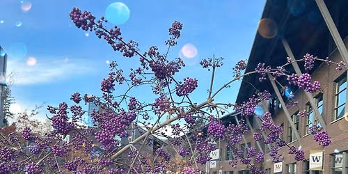 December meeting in Bothell