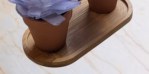 Sea Glass Succulents Workshop