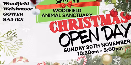 Christmas open day