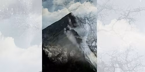 Finding Beauty by David McElwee \u2022 Donors Gallery