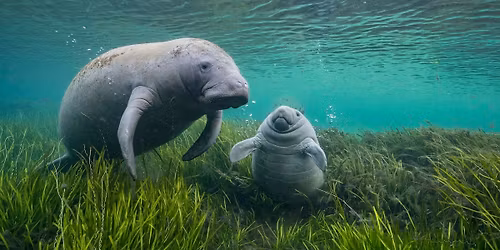 Florida Freshwater Adventure