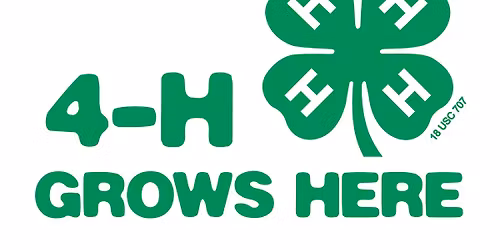 Pasco 4-H Summer Day Camps 2026