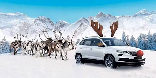 \u0160KODA FAGY-I TALI